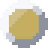 Gold Coin Blank